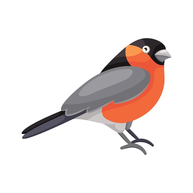 Cartoon flat illustration of sitting bullfinch bird