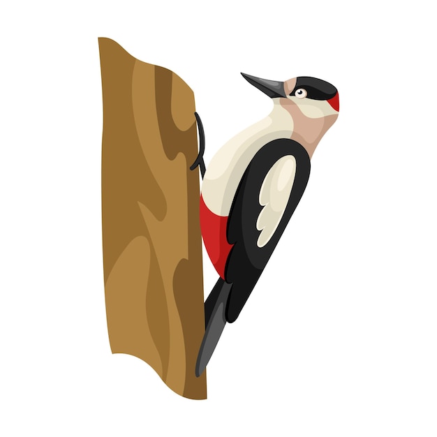 Cartoon flat illustration of woodpecker bird sitting on a tree