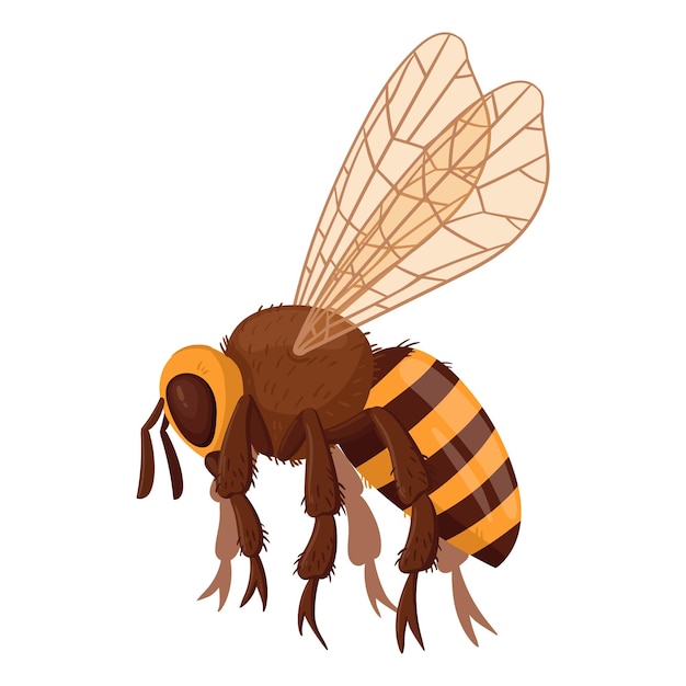 Vettore disegno animato di un'ape volante, un insetto dell'ape mellifera, un canguro a righe, un'ape alata, un'illustrazione vettoriale piatta su sfondo bianco.