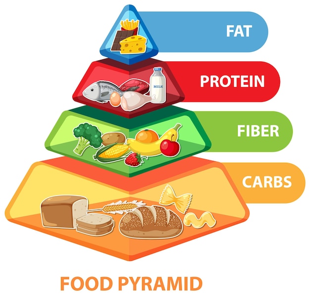 벡터 만화 식품 피라미드 인포그래픽 영양 가이드