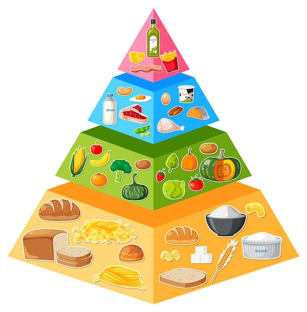 Инфографика мультяшной пищевой пирамиды. визуальное руководство.