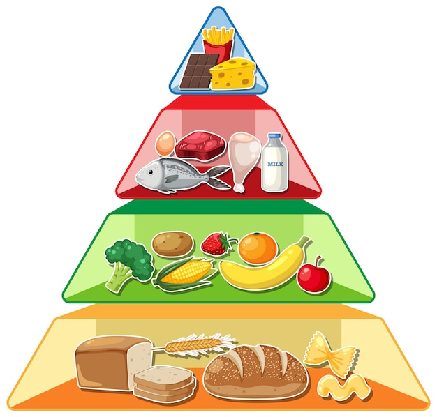 만화 음식 피라미드 인포그래픽 시각 가이드