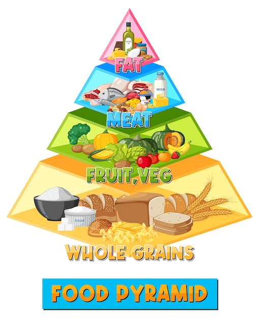 Cartoon food pyramid infographic a visual guide to nutrition