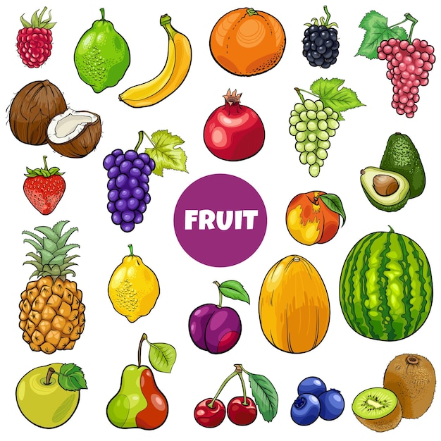 Vector cartoon fresh fruit food objects set