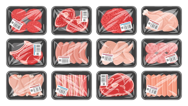 Cartone animato prodotto a base di carne congelata in confezione di plastica sottovuoto set di illustrazioni vettoriali piatte