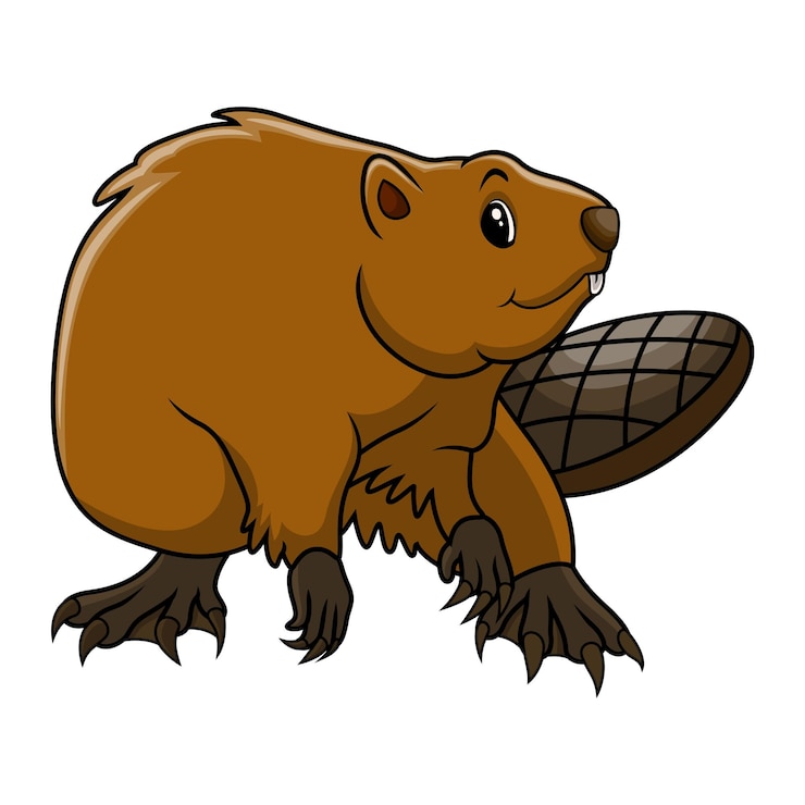 Vector cartoon funny beaver pose sitting