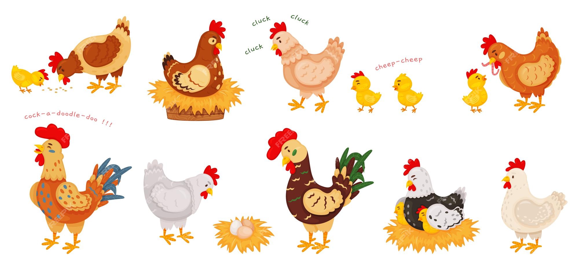Hen Animal Images - Free Download on Freepik Hen Animal Images - Free Download on Freepik