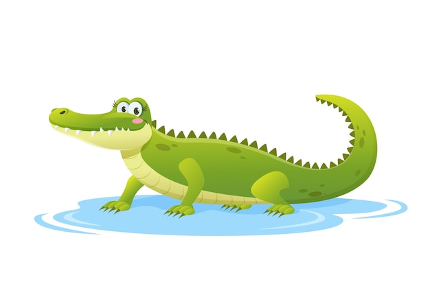 Cartoon funny crocodile isolated on white background