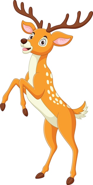 Cartoon funny deer standing on white background