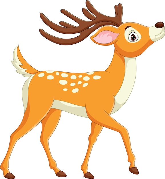 Vector cartoon funny deer on white background