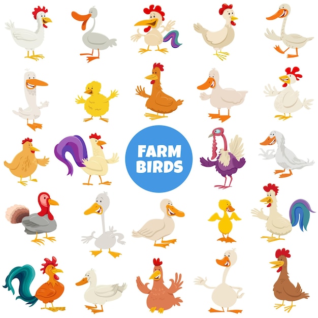 Cartoon funny farm birds animal characters big set