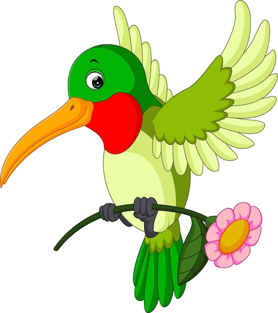 Cartoon funny hummingbird