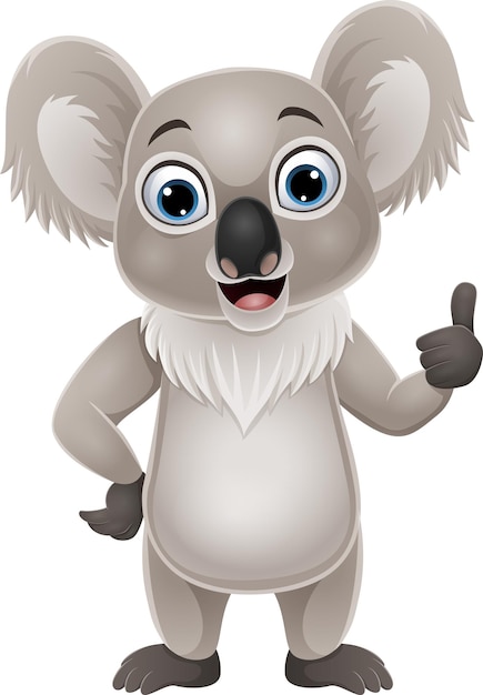 Vector cartoon funny koala giving thumb up