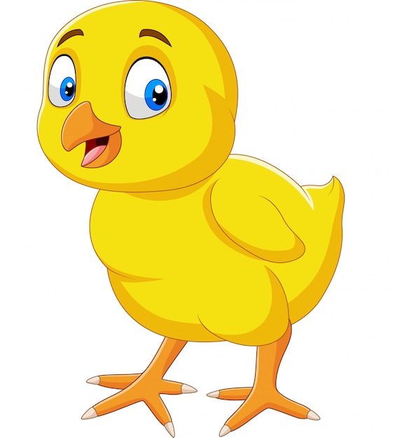 Vector cartoon funny little chick isolated on white background