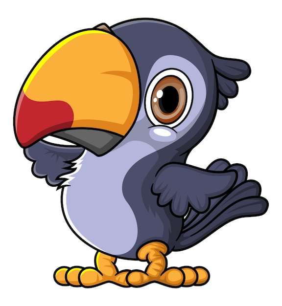 Vector cartoon funny little toucan posing