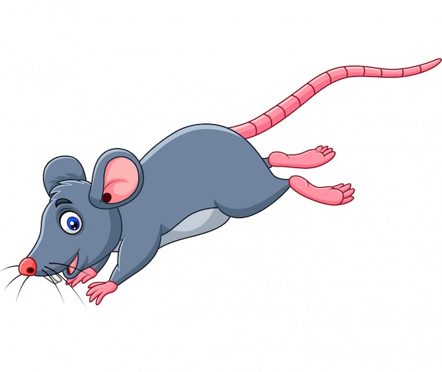 Vector cartoon funny mouse jumping