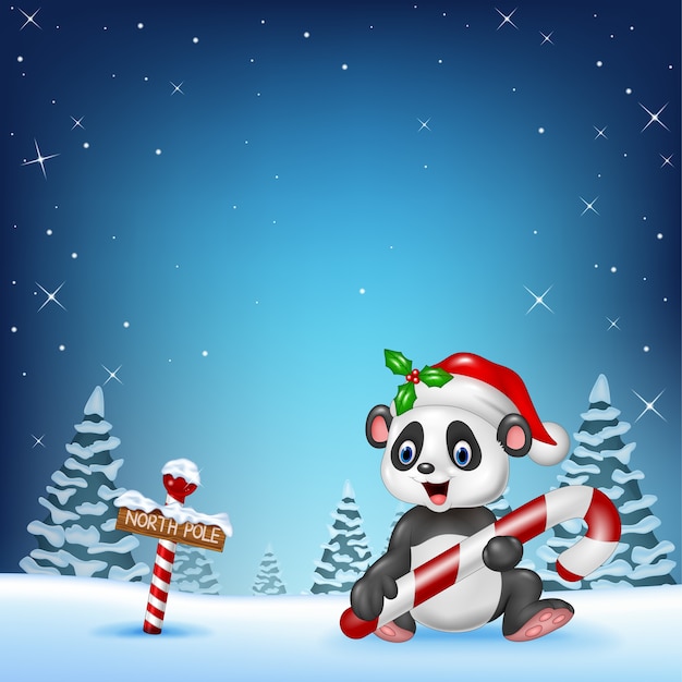 Cartoon funny panda sitting with a north pole wooden sign