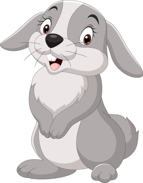 Cartoon funny rabbit isolated on white background