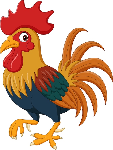 Vector cartoon funny rooster on white background