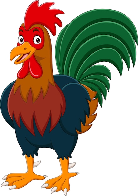 Vector cartoon funny rooster on white background