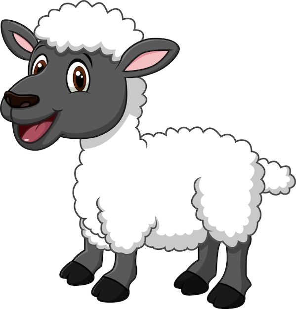 Cartoon funny sheep posing isolated on white background