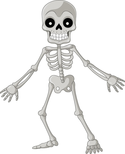 Vector cartoon funny skeleton on white background