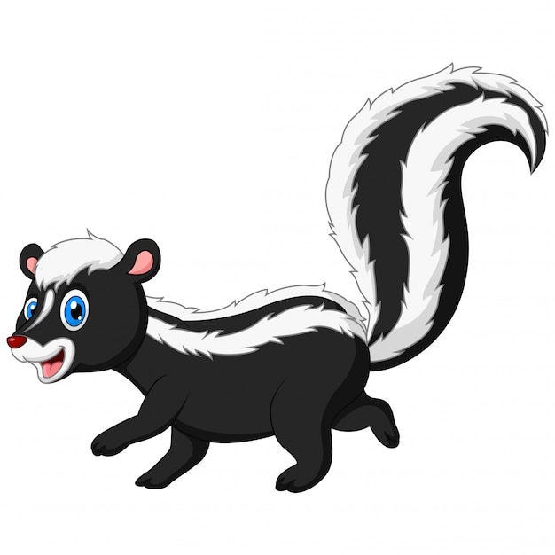 Cartoon funny skunk walk again