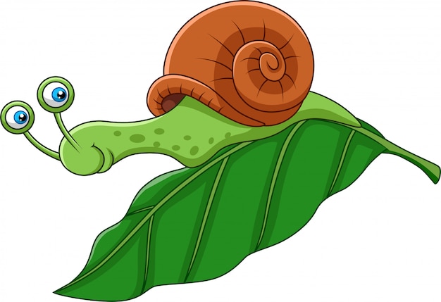 Cartoon funny snail on a leaf