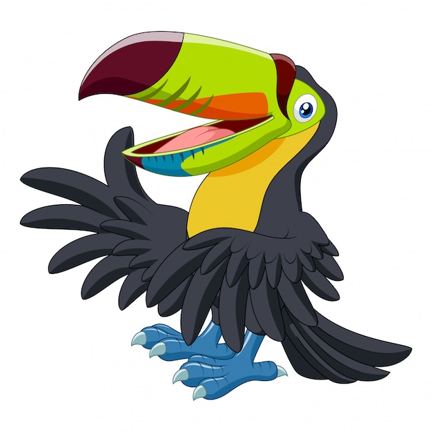 Vector cartoon funny toucan presenting