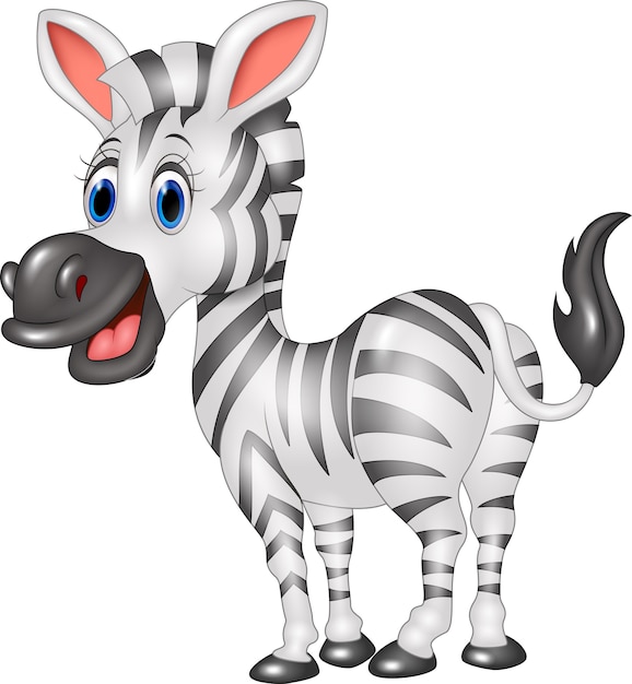 Cartoon funny zebra isolated on white background