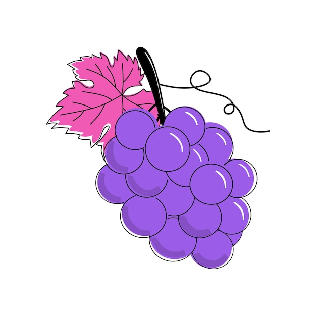 Cartoon grapes fruit with a leaf