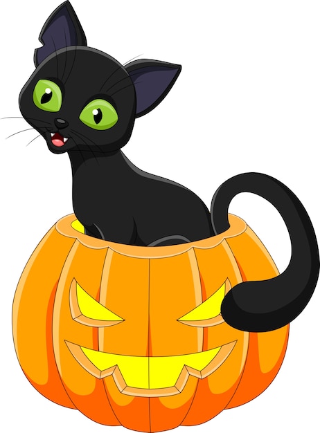 Cartoon grappige kat met Halloween-pompoen