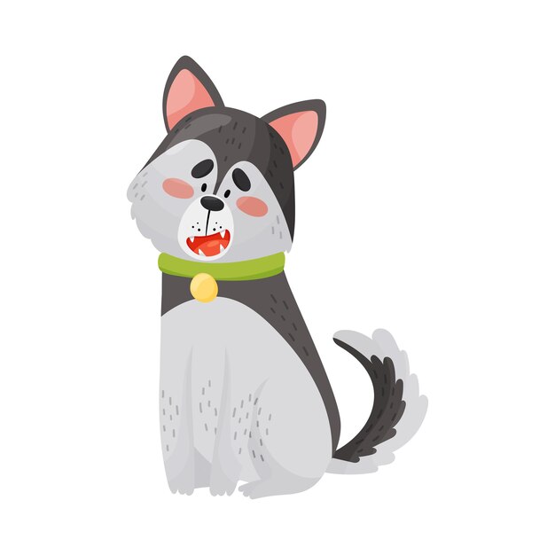 Cartoon gray husky in a red collar sits Vector illustration on a white background