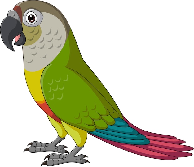 Cartoon Green Cheeked Parrot on White Background