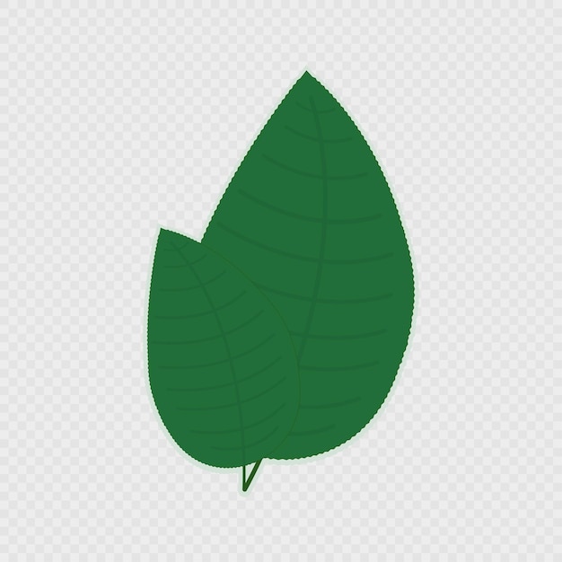 cartoon green leaf vector illustration
