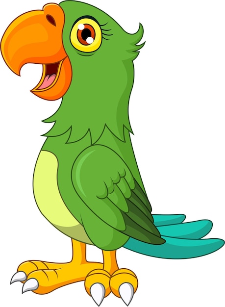 Vector cartoon green macaw isolated on white