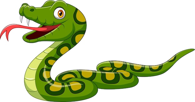 Vector cartoon green snake on white background