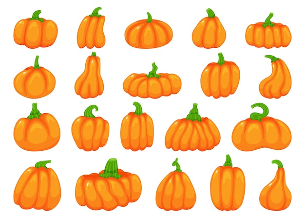 Vector cartoon halloween pompoen vallen traditionele oranje herfst element vector set