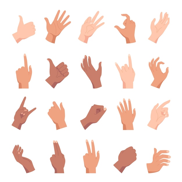 Cartoon hand poses holding pointing and like gesture Diverse people hands fists and palm positions and signs Woman arm count vector set