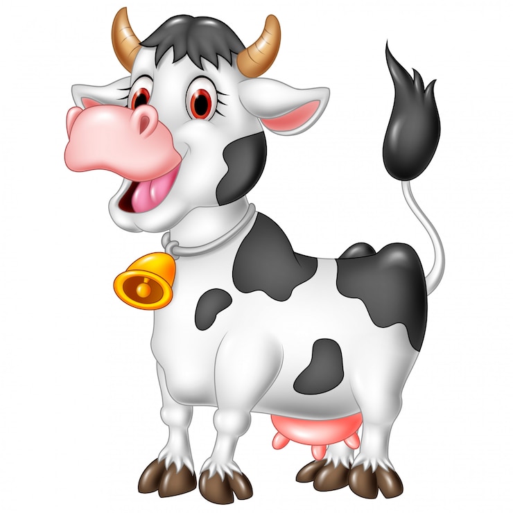 Vector cartoon happy cow isolated on white background