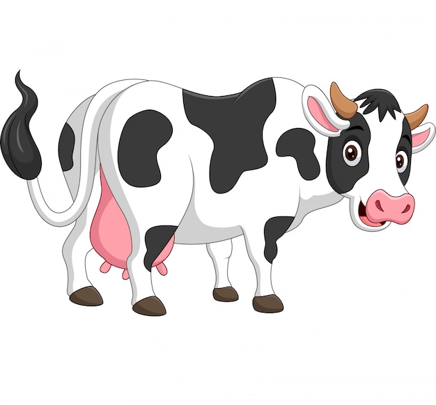 Cartoon happy cow posing isolated on white