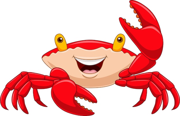 Cartoon happy crab on white background