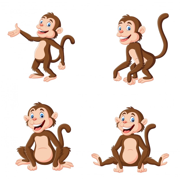 Vector cartoon happy monkey in different pose