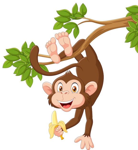 Cartoon happy monkey hanging and holding banana