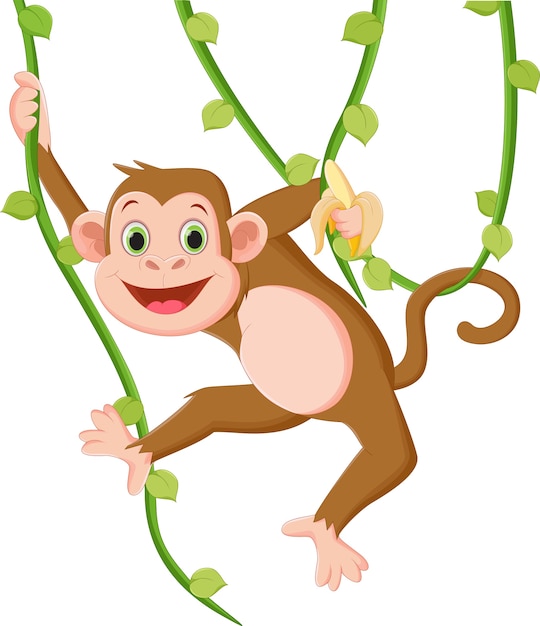 Vector cartoon happy monkey hanging and holding a banana