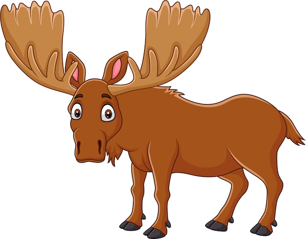 Vector cartoon happy moose met grote hoorns