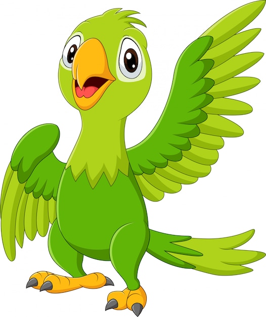 Vector cartoon happy parrot isolated on white background