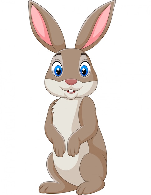 Vector cartoon happy rabbit isolated on white background