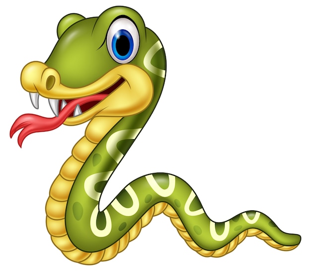 Cartoon happy snake isolated on white background