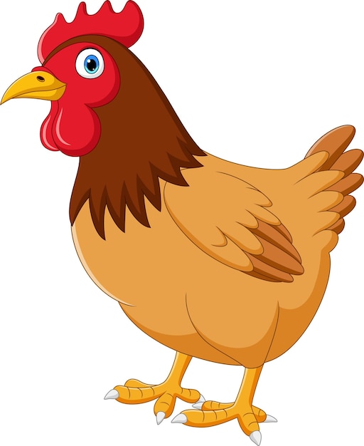 Cartoon hen isolated on white background